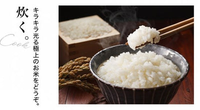 ダクタイルポット20 – 岩鉄鉄器オンラインショップ